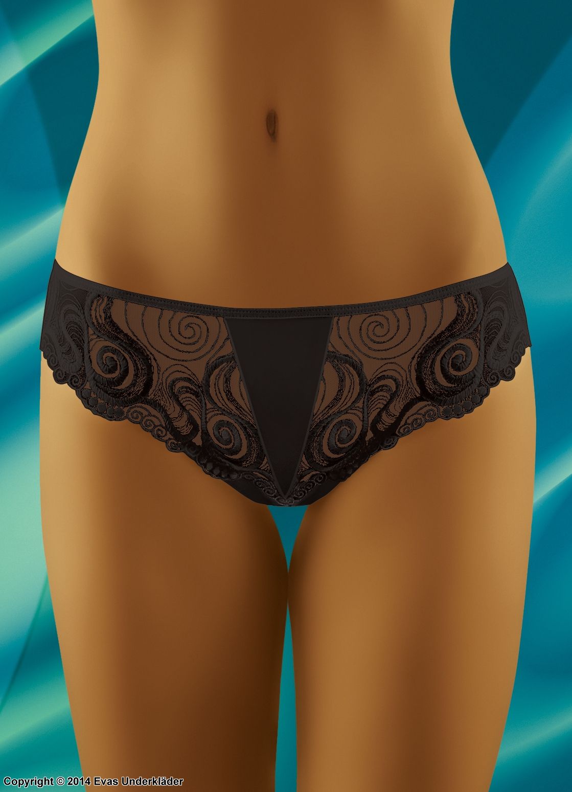 Hipster panty with embroidered swirls